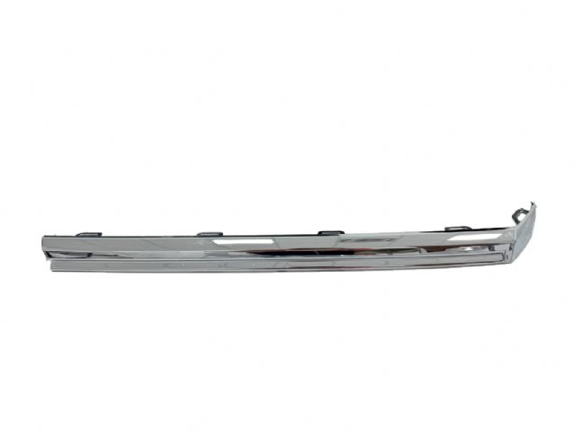 MIDDLE MOULDING LH