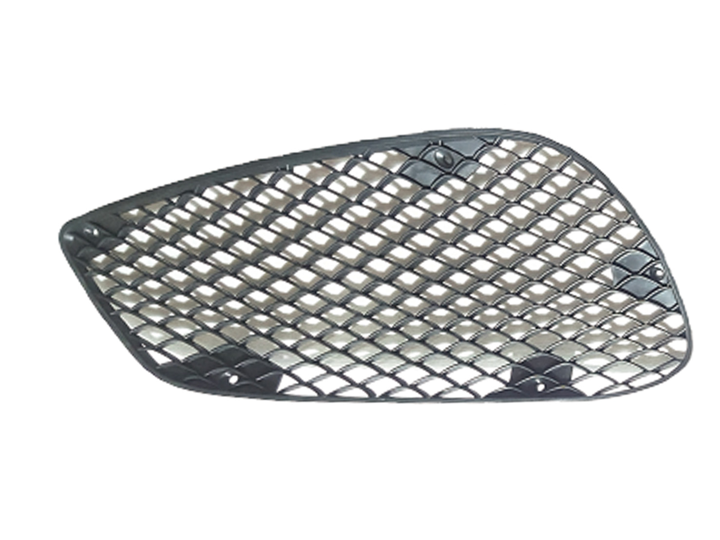 M. BENZ E-CLASS  W212 AMG SIDE MESH L