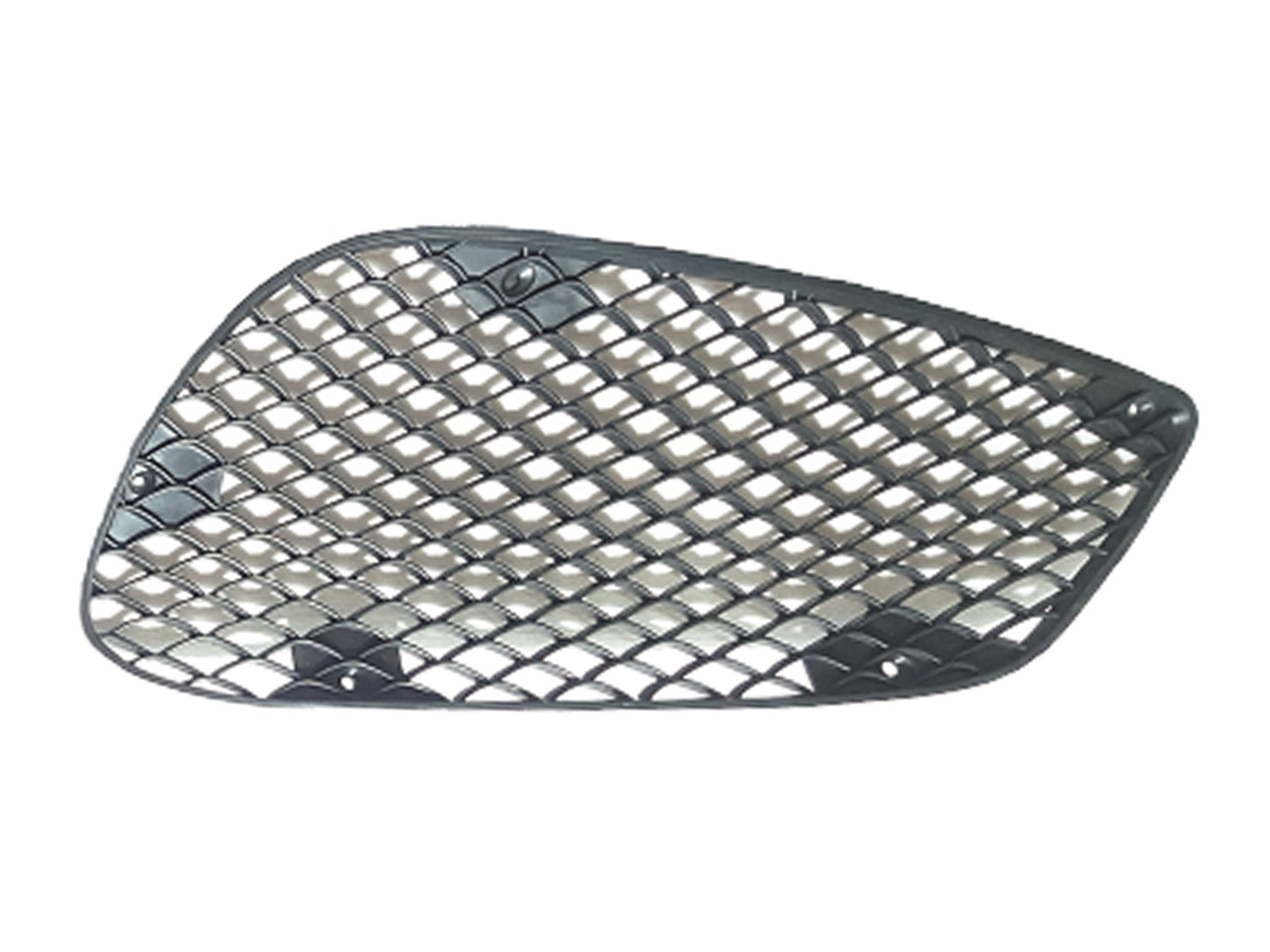 M. BENZ E-CLASS  W212 AMG SIDE MESH R